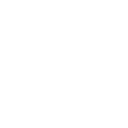 LSBF_Landing-Page_Icons-02